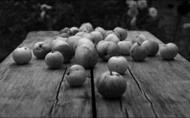 Hard Cider Gin Version
