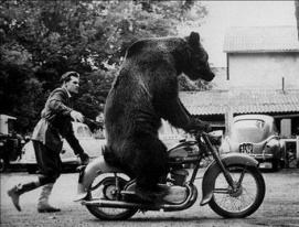 Berliner Bear Raspberry
