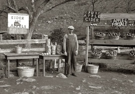 Hop Cider